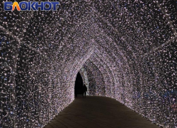 Дух захватывает: новогодние иллюминации в парке Галицкого заполонили соцсети россиян 