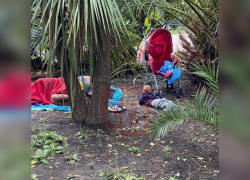 В Сочи задержали спящую в кустах мать с младенцем 