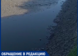 «Остаётся вонючее дно»: в Краснодаре уничтожили пруд с рыбой