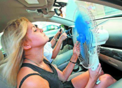 Сотрудники ГАИ попросили не выезжать автомобилистов в жару