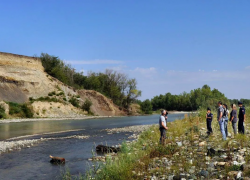 Останки кита нашли на берегу реки Кубань