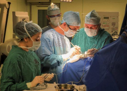 Хирурги удалили 22-сантиметровую опухоль с головы мужчины в Краснодарском крае