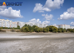 Режим ЧС по засухе отменили в Краснодарском крае