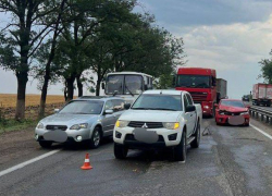 Автобус и 4 машины столкнулись из-за упавшего дерева в Краснодарском крае