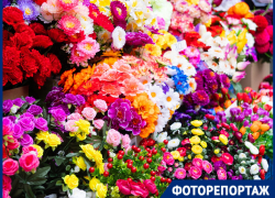 От синих роз до мини-калл: искусственные цветы заполонили рынки Краснодара