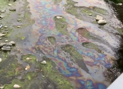  В реку Иру в Сочи попали нефтепродукты 