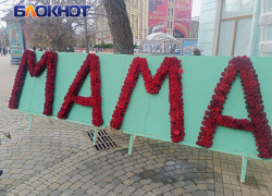 В центре Краснодара из 1000 роз выложили пятиметровое слово «Мама»