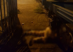  Поезд разрезал женщину пополам в Туапсе 