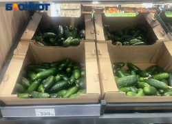 Огурцы по цене мяса завезли в магазины Краснодара: экономист назвал причины