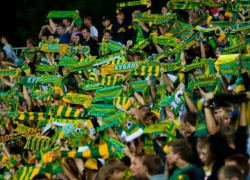  В ФК «Кубань» прошли обыски, руководство арестовано 