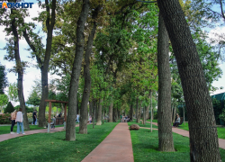 Облачность и прохладу прогнозируют в Краснодаре