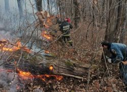 На Кубани горит тысяча квадратных метров леса