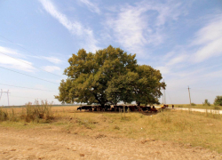 Краснодарцев снова ждет адская жара