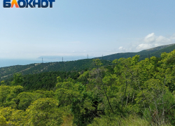 В Краснодарском крае во время турпохода педагог надругался над ребенком