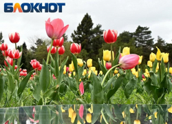 В Краснодаре солнце наконец покажется из-за облаков 