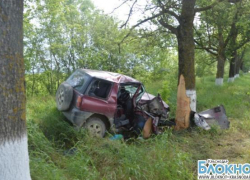 В Крымском районе в ДТП погиб водитель иномарки