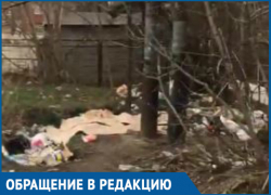 «Вонь страшная»: краснодарка заявила о бардаке, устроенном бездомными возле ТО «Премьера»