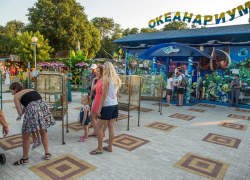 Акула погибла по вине посетителя океанариума в Анапе 