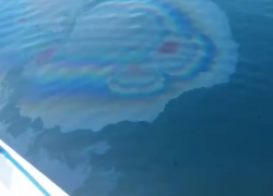 Затонувший в Новороссийске теплоход «Адмирал Нахимов» начал разлагаться и «травить» топливо 