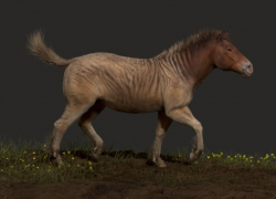 Лошадка всего в метр высотой: удивительный гиппарион жил 12 миллионов лет назад на Кубани