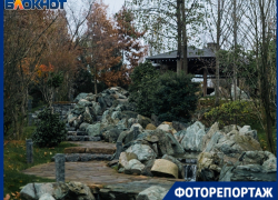 Японский сад в парке Галицкого встретил свою третью зиму без снега  