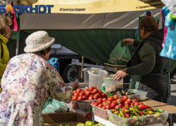 От свежего сыра до зелени: семь ярмарок выходного дня открылись в Краснодаре 