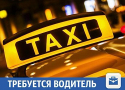 Работа для любого водителя найдется в Краснодаре