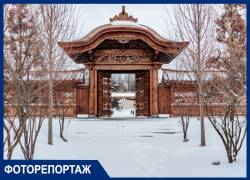 Японский сад готовят к открытию: показываем заснеженный парк «Краснодар» Сергея Галицкого