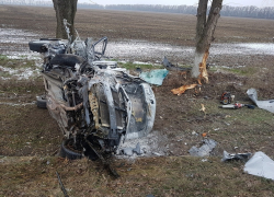 На Кубани Toyota Camry сгорела, врезавшись в дерево: погибли два человека