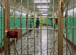 В Краснодарском крае мужчина убил собутыльника деревянной палкой