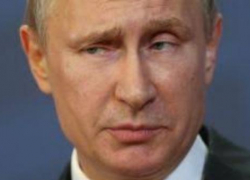 Просят защиты от застройки у Владимира Путина жители Краснодарского края