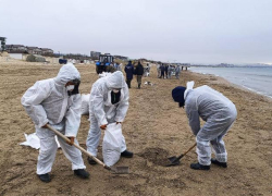 Вывезено 29,5 тысяч мазута: как обстоят дела на побережьях Анапы и Темрюкского района