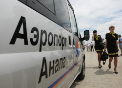 В аэропорту Анапы из-за птицы не смог взлететь самолет