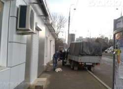 По факту отстрела животных в Краснодаре возбуждено уголовное дело