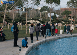 Температурные «американские горки» с +17 до +4 надвигаются на Краснодар