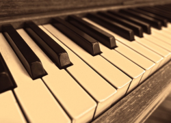 Крупный поставщик роялей попалась на подделках в Краснодарском крае