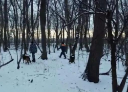 Поиски 10-летнего мальчика в Белореченском районе пока не дали результатов