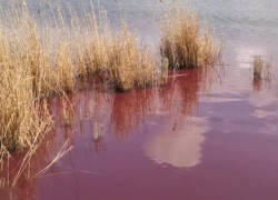 На Кубани река окрасилась в красный цвет