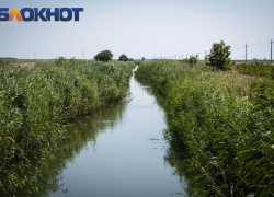 Защиту кубанской земли от застройки обсудят депутаты ЗСК 