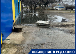 Фекальные реки хлынули к жилым домам на улице Филатова в Краснодаре 