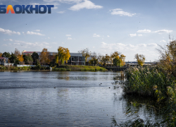 Облачная погода сменится ярким солнцем в Краснодаре