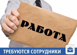 Перспективную работу предлагают в Краснодаре