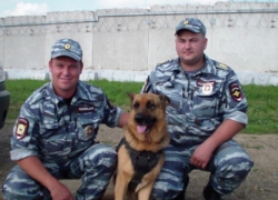 В Краснодарском крае овчарка Рэм раскрыла кражу