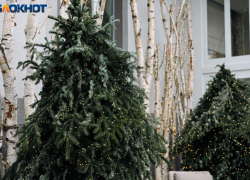 По ощущениям до -10 и снег: погода удивляет Краснодар за пять дней до Нового года 