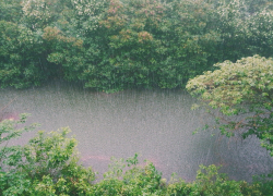 Из-за потопа эвакуировали 53 человека в Отрадненском районе