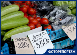«Зимний» рост цен на рынке: сколько краснодарцам придется отдать за фрукты и овощи