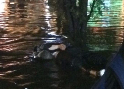 В Краснодаре во время потопа погиб подросток 