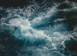 Соответствует нормативам: что известно о катастрофе с разливом нефти в Новороссийске