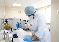 Больше всего случаев заболевания коронавирусом подтвердилось в Краснодаре