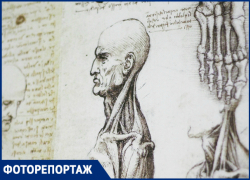 Культовые изобретения Да Винчи в Краснодаре в объективе фотографа